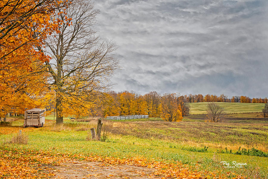 Autumn Ends Photograph by Peg Runyan