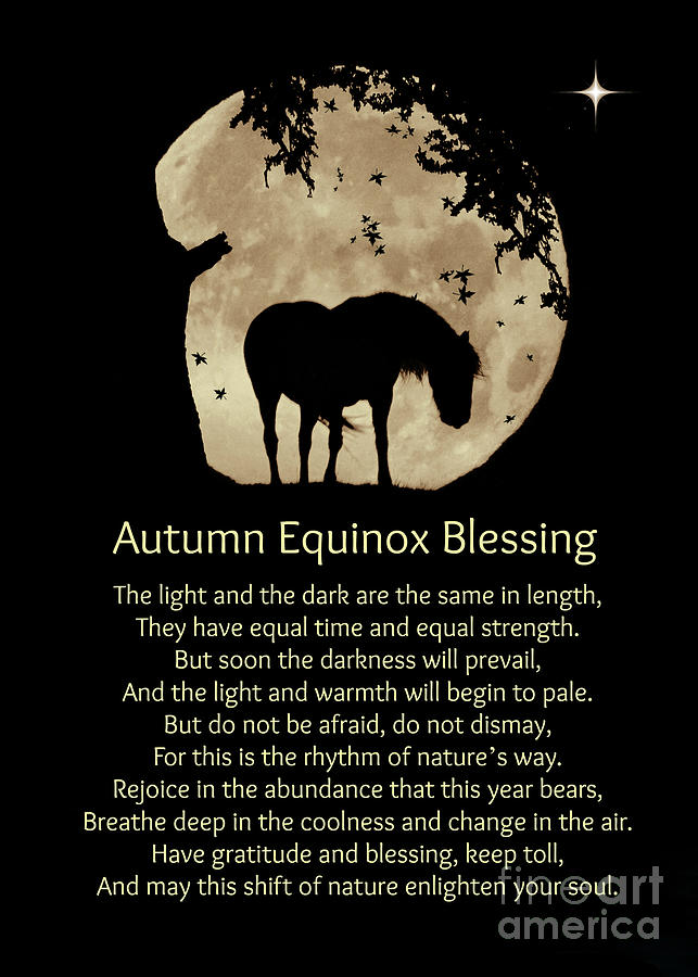 Autumn Equinox Blessing Horse and Moon Photograph by Stephanie Laird