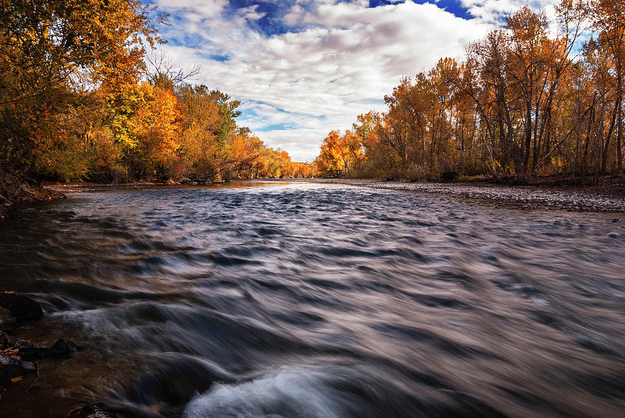 Autumn Evening Along Boise River In Boise Idaho Usa Photograph By