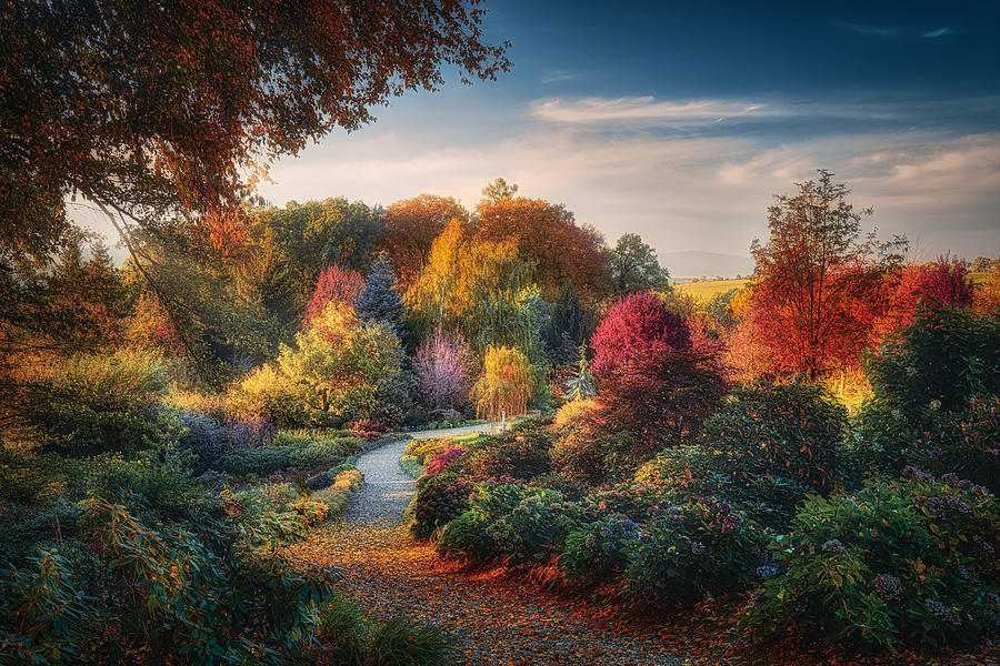 Autumn Fairy Tale Photograph By Pawel Kado Pixels