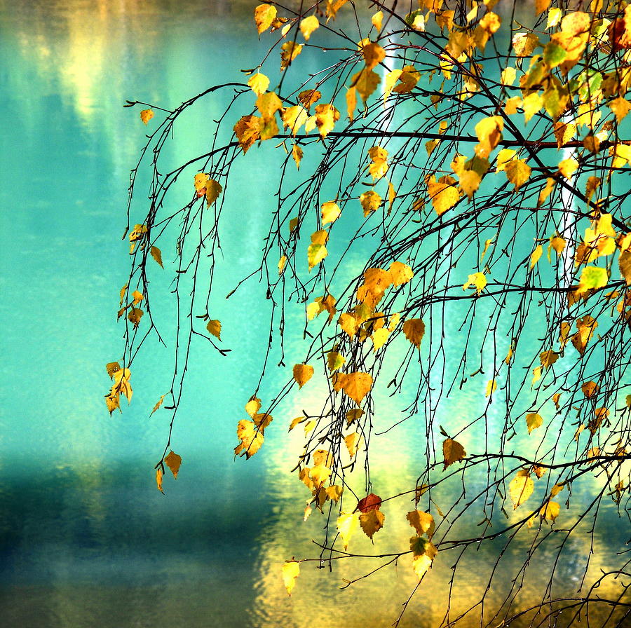 Autumn Fairytale Photograph by May Sun Photography