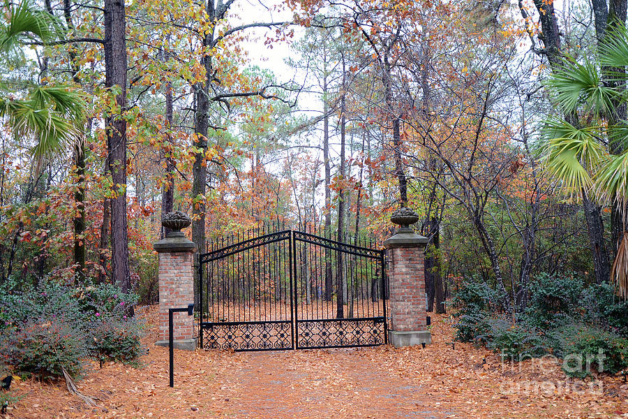 Nature Photograph - Autumn Fall Nature Trees Gate Landscape South Carolina Nature Prints by Kathy Fornal