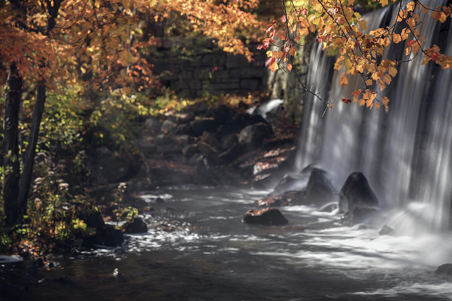 Autumn Falls 1 Photograph by Brian Hale