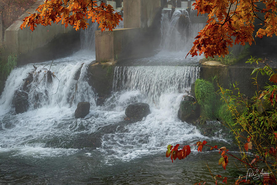 Autumn Falls Photograph by Phil S Addis