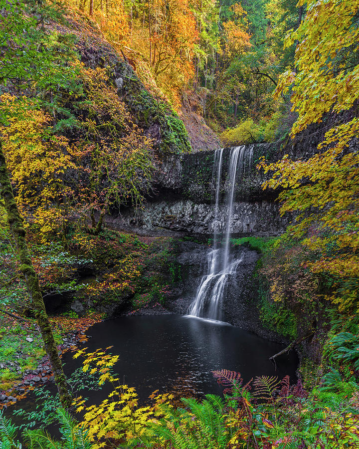 Autumn Falls. Photograph by Ulrich Burkhalter