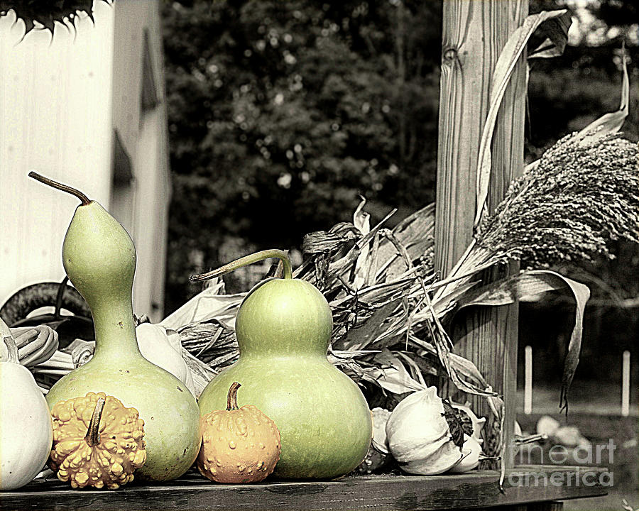 Autumn Farm Stand Photograph by Smilin Eyes Treasures