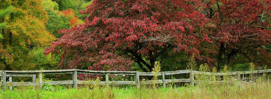 Autumn Fenceline by SL Ernst Autumn Fenceline by SL Ernst