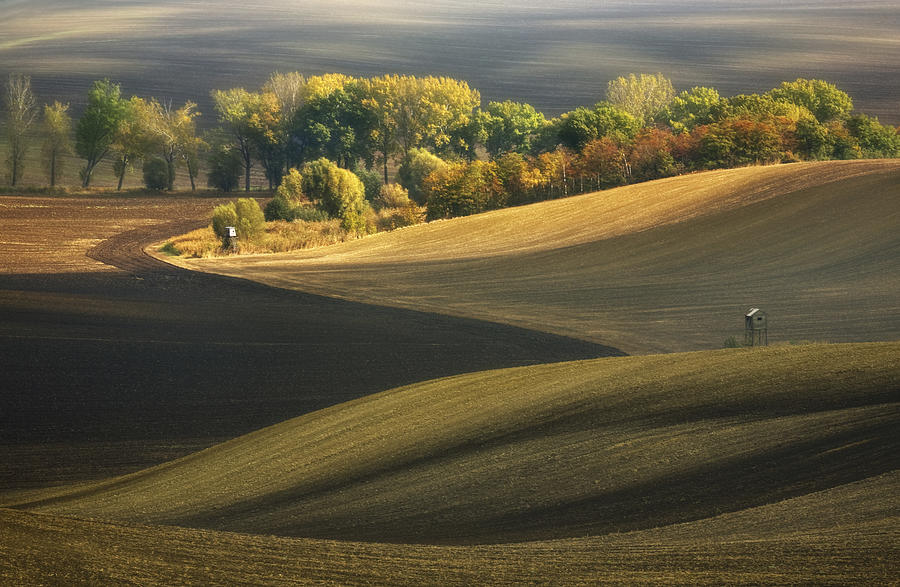 Autumn Fields... Photograph by Krzysztof Browko