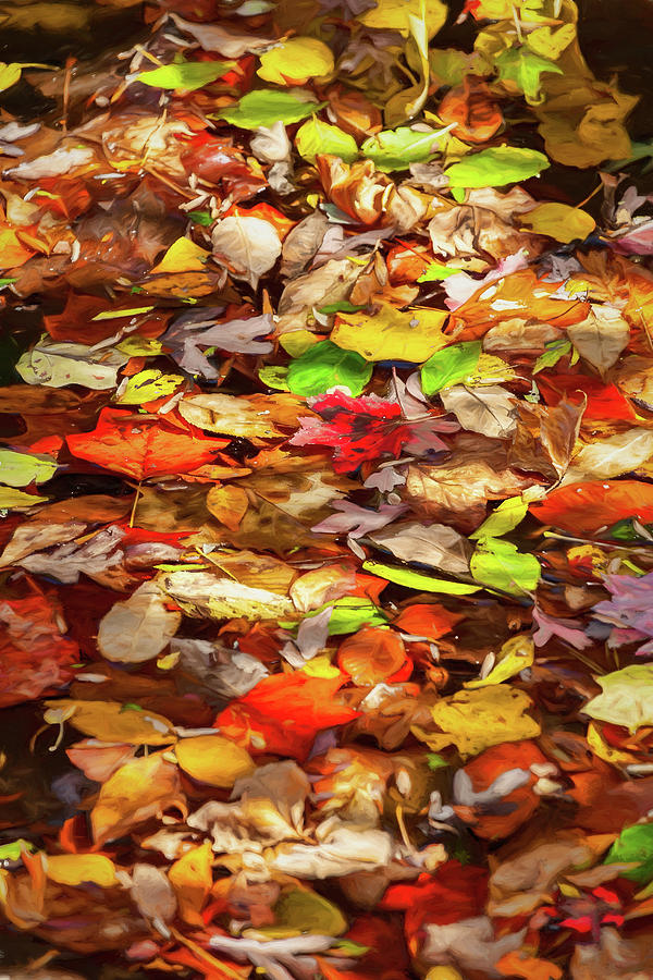 Autumn Floaters Digital Art by Dan Carmichael