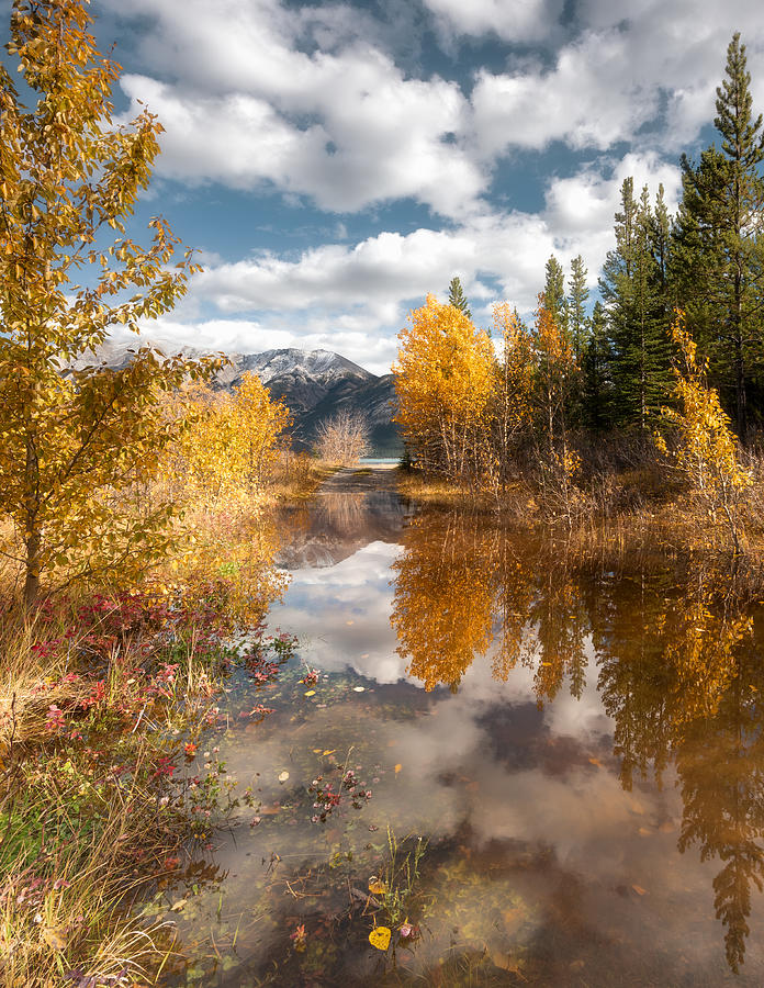 Mountain Photograph - Autumn Flood by Haim Rosenfeld