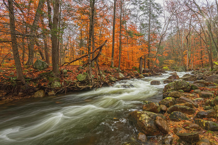 Autumn Flow At Stony Brook Photograph by Angelo Marcialis Fine Art