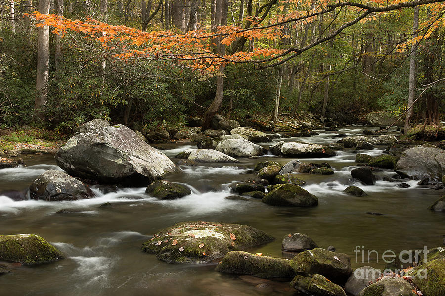 Autumn Flowing Through The Mountains Photograph by Mike Eingle