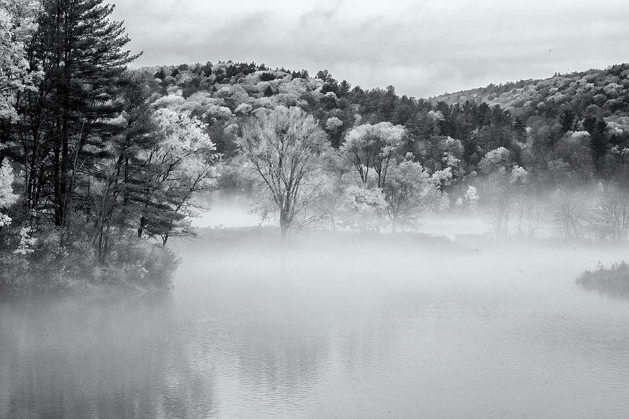 Autumn Fog In Black and White Photograph by Tom Singleton