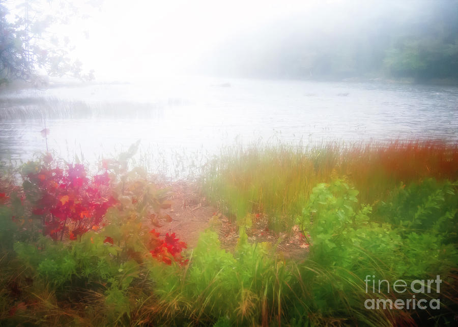 Autumn Fog on Eagle Lake Photograph by Anita Pollak