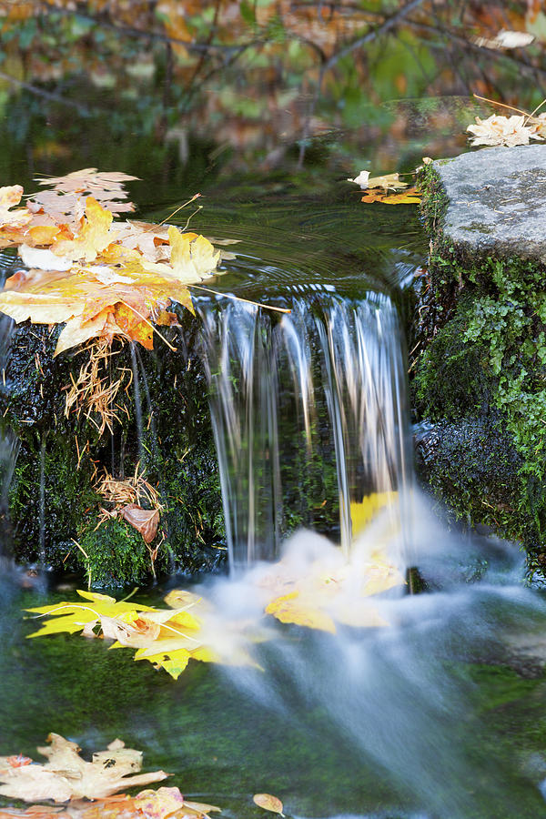 Autumn Foliage In Mountain Stream Photograph by Uschools