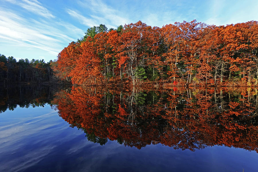 Autumn Foliage on Stearns Millpond in Sudbury MA Photograph by Toby McGuire