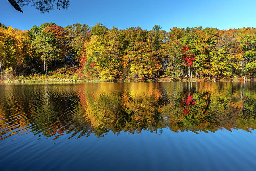 Autumn Foliage, Saratoga Springs Ny Digital Art by Claudia Uripos