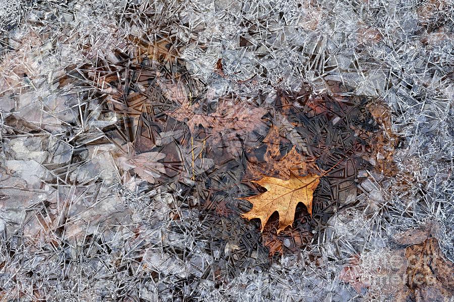 Autumn Freezing Over Photograph by Larry Ricker