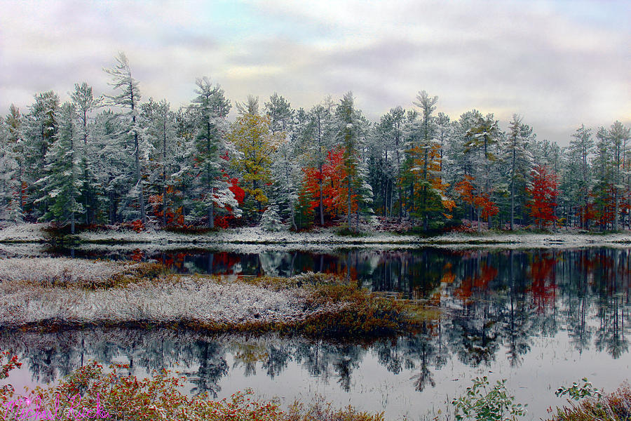Autumn Frost Photograph by Michael Rucker