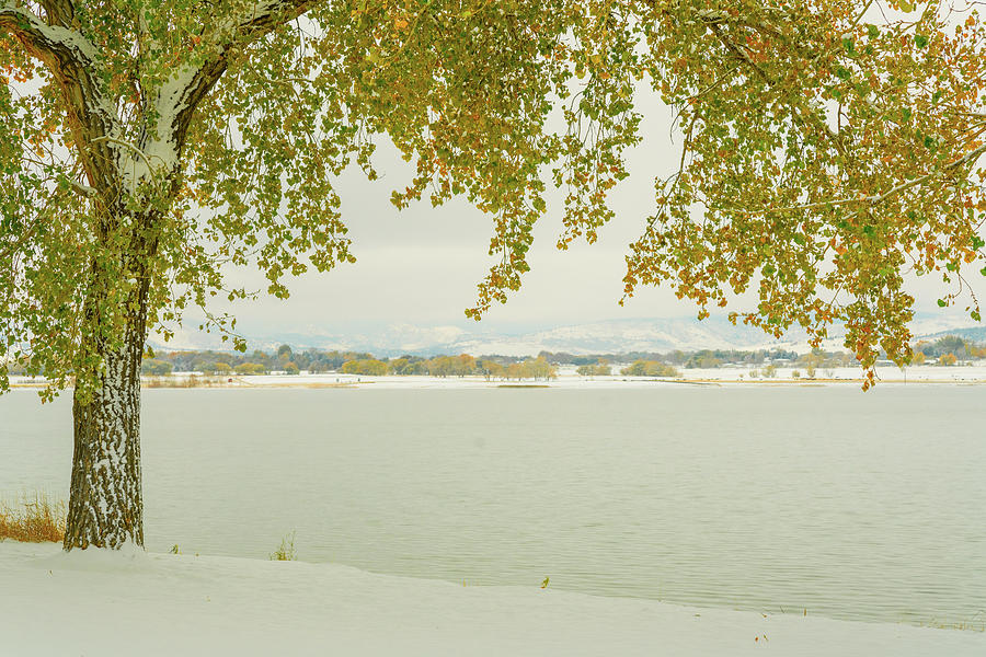 Autumn Frosting Photograph by James BO Insogna