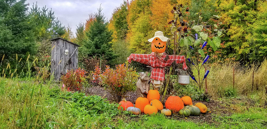 Autumn Garden Scarecrow Photograph by Brook Burling