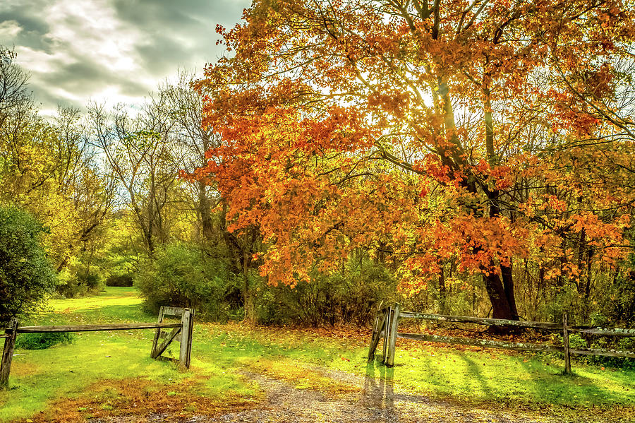 Autumn Gate Photograph by Sean Sweeney - Fine Art America