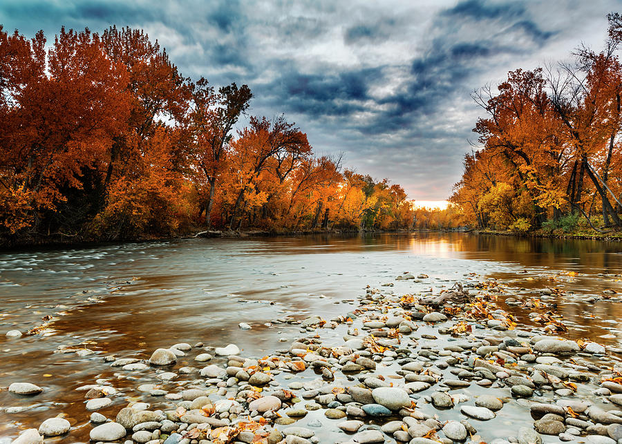 Autumn Morning Along Boise River In Boise Idaho Usa Photograph By