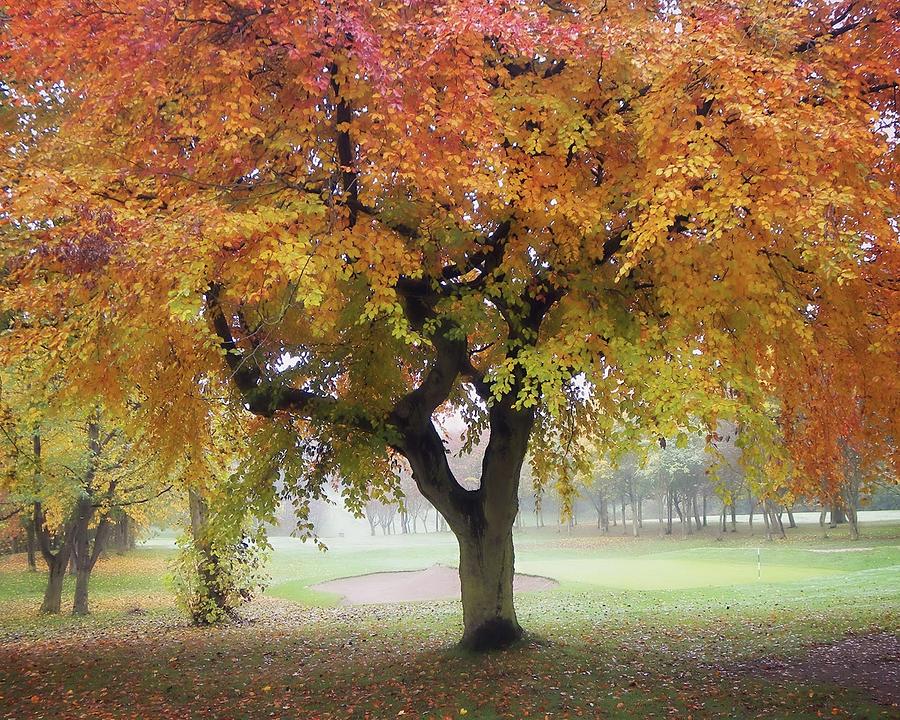 Autumn Glory By Vesna Armstrong