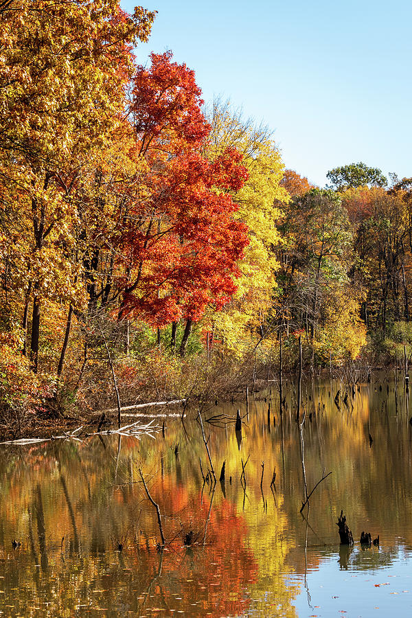 Autumn Glow in Moraine State Park of Pennsylvania Photograph by Debra Martz