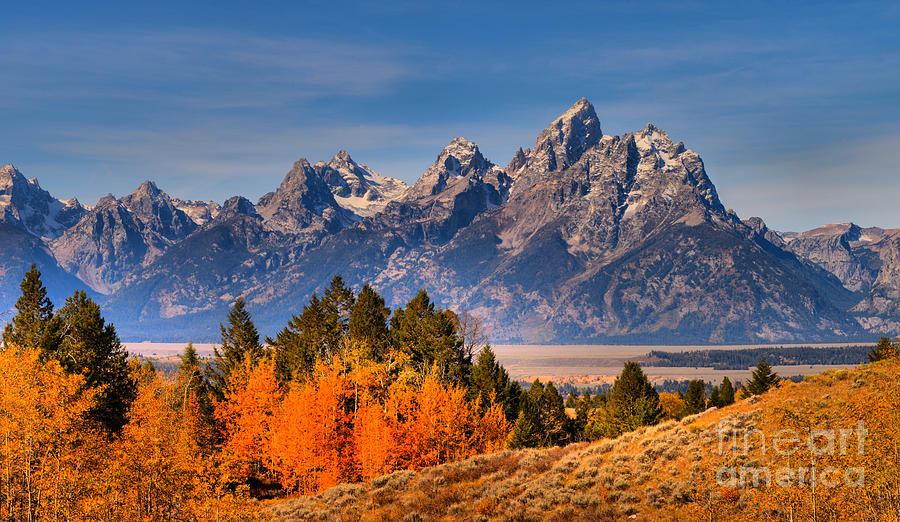 Autumn Gold In The Tetons Photograph by Adam Jewell