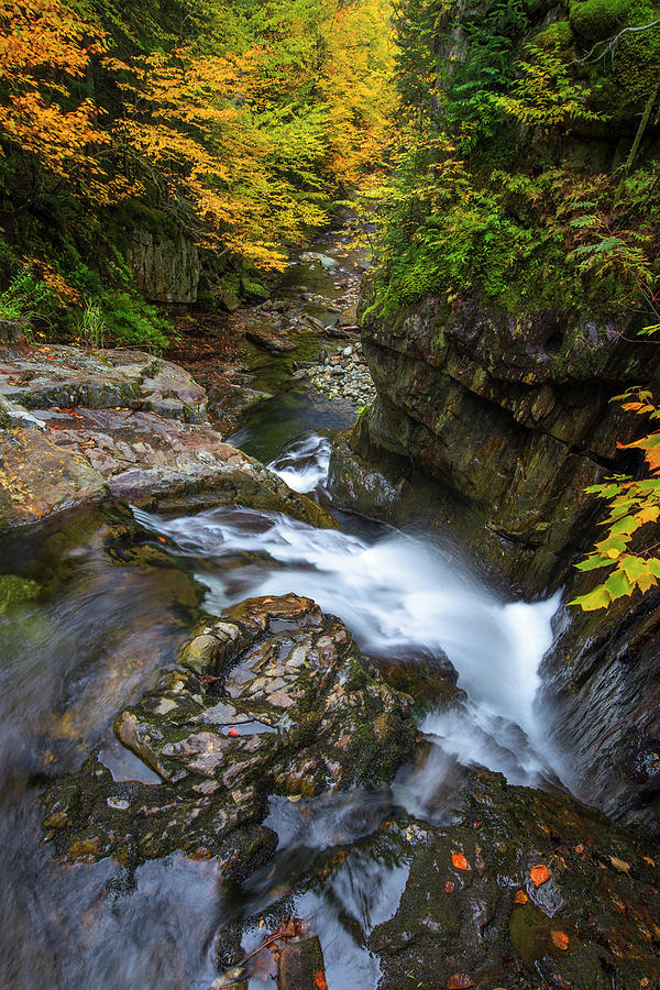 Autumn Gorge Photograph by White Mountain Images