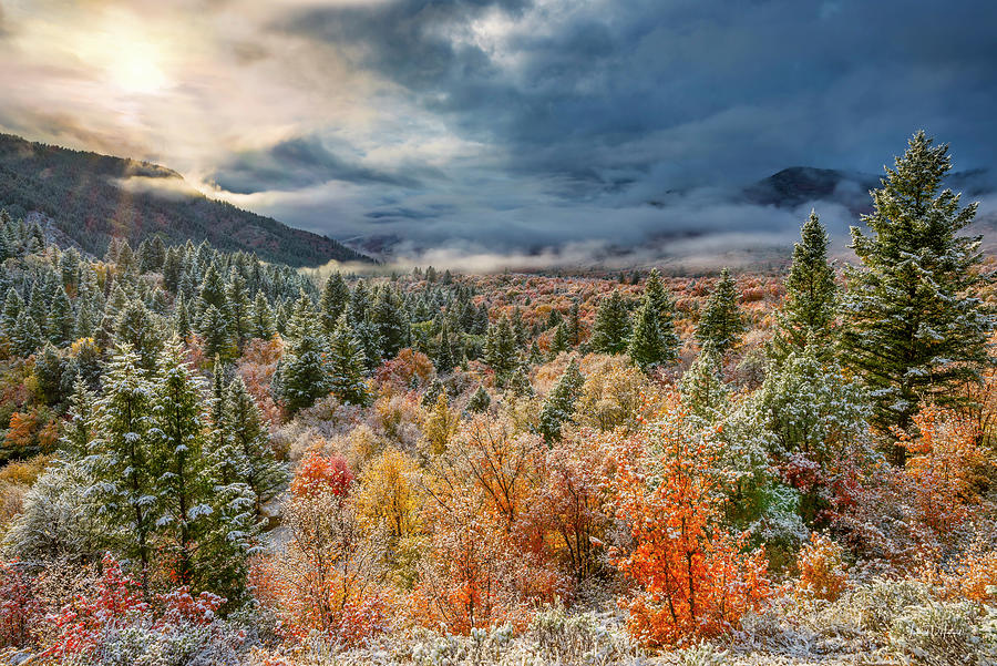 Cache National Forest Autumn Idaho Photograph by Leland D Howard  Fine 