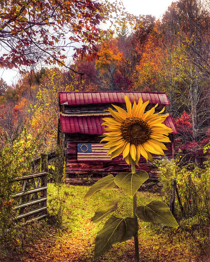 Autumn Greeting Photograph by Debra and Dave Vanderlaan