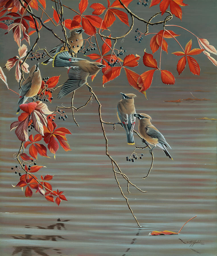 Bird Painting - Autumn Harvest - Cedar Waxwing by Wilhelm Goebel