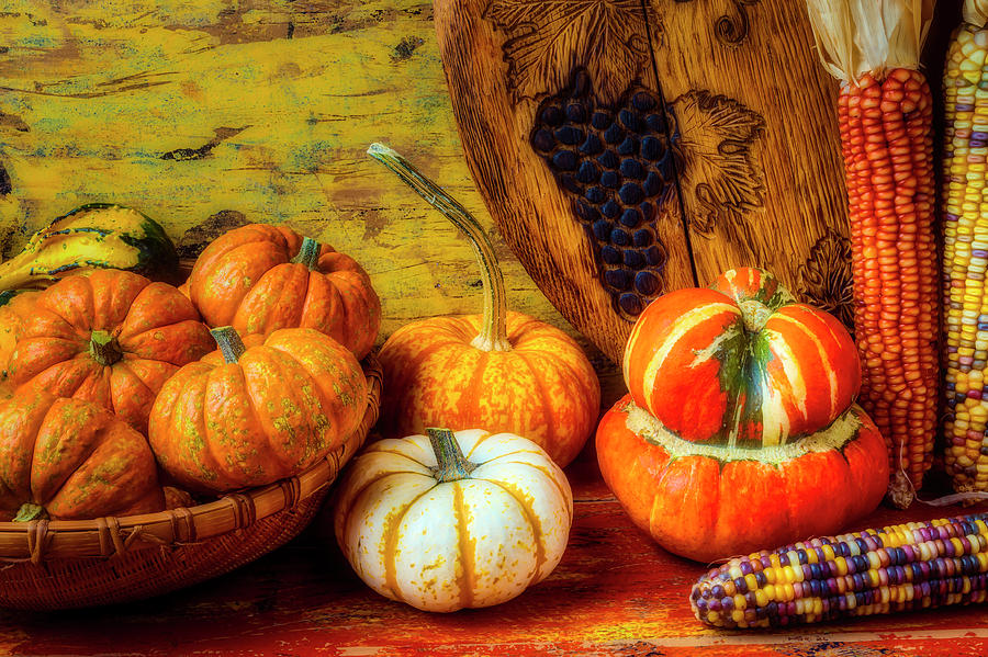 Autumn Harvest Collection Photograph by Garry Gay