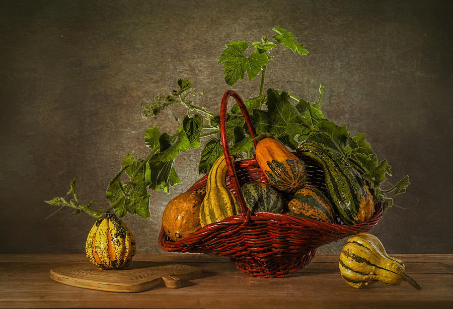 Fall Photograph - Autumn Harvest by Lydia Jacobs