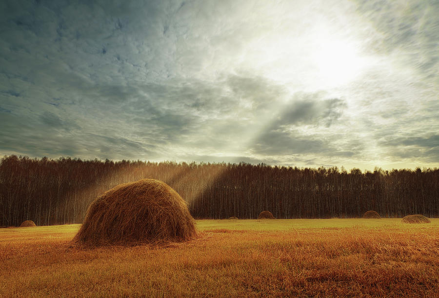 Autumn, Haymaking Photograph by -art-siberia-