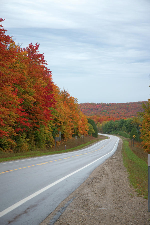 Autumn Highway Photograph
