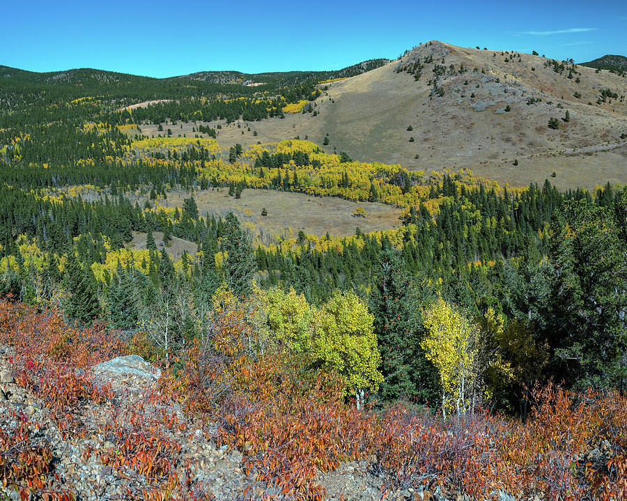 Seasons Photograph - Autumn Hills Of Boulder County Colorado by James BO Insogna