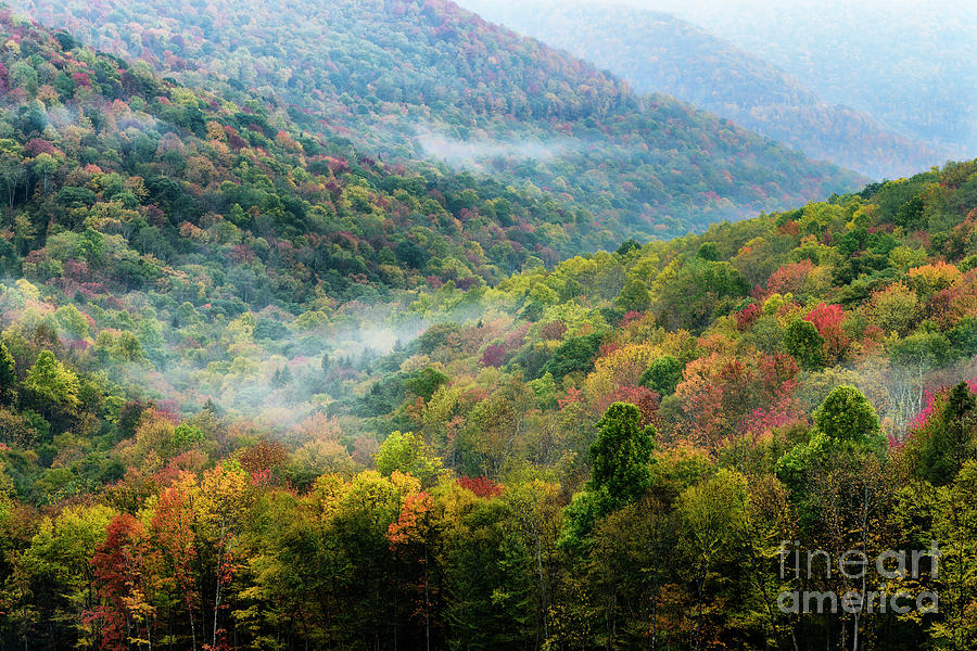 Autumn Hillsides with Mist Photograph by Thomas R Fletcher