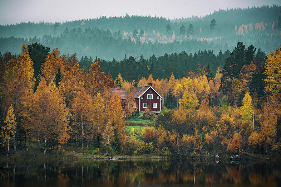 Autumn House by George Grigoriadis Autumn House by George Grigoriadis