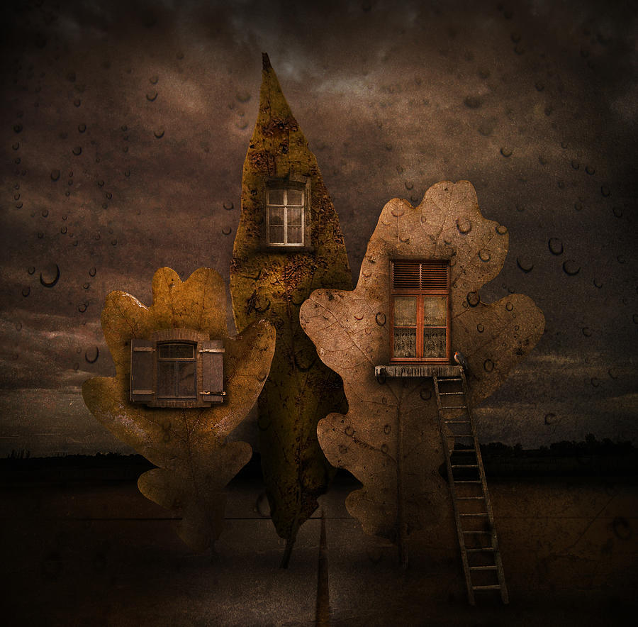Autumn House Photograph by Muriel Vekemans