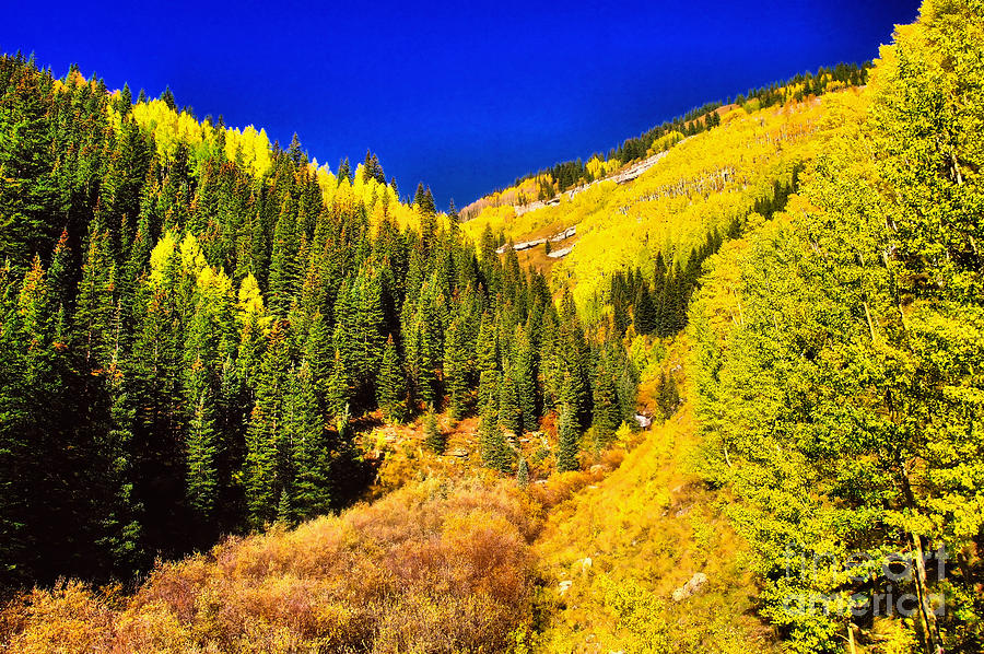 Autumn hue on the mountain side  Photograph by Jeff Swan