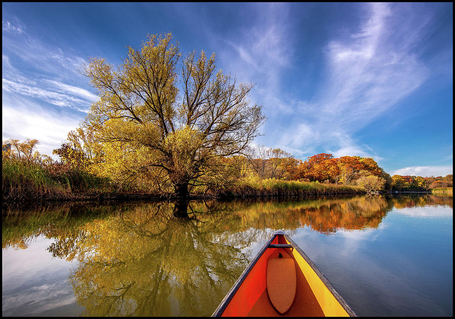 Autumn Humber River Photograph by Dale Roddick - Fine Art America