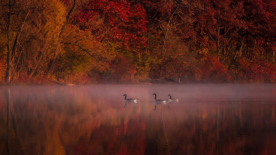 Autumn Impression Photograph by Hanping Xiao