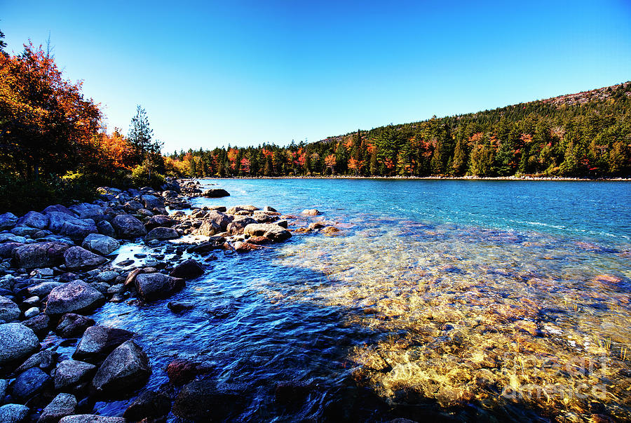Acadia National Park Photograph - Autumn In Acadia National Park, Maine by Felix Lai