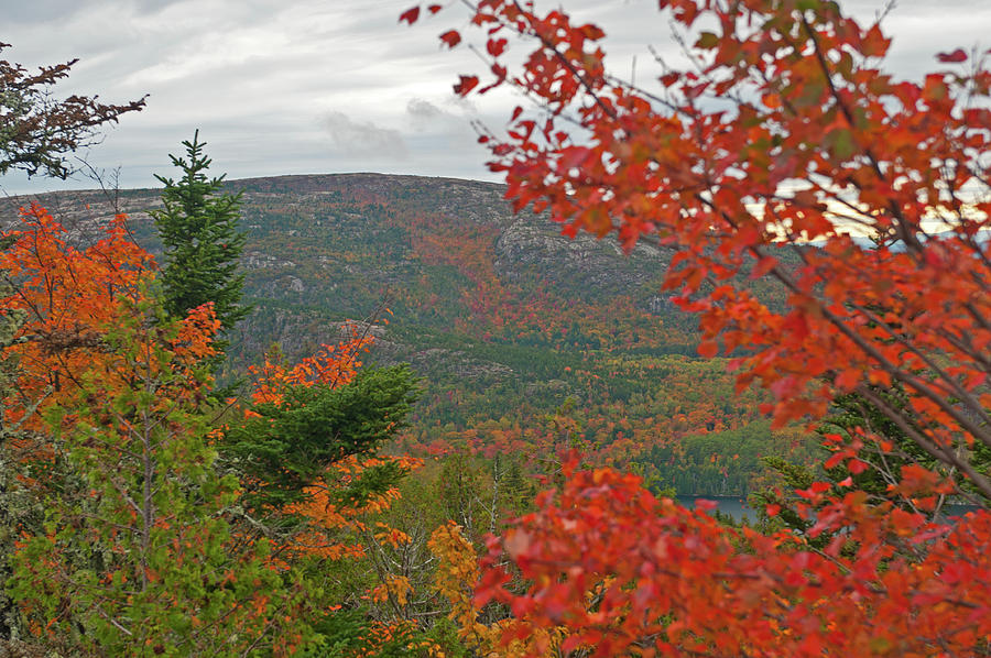 Autumn in Acadia Photograph by Paul Mangold