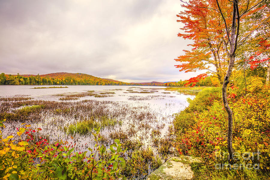 Autumn In Adirondack, New York 2 Photograph by Felix Lai