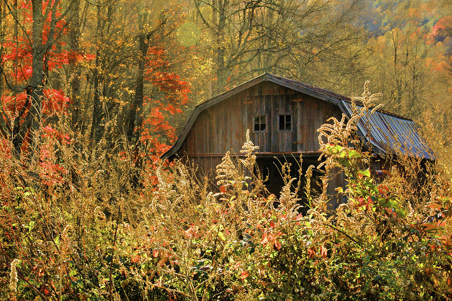 Autumn In Appalachia Photograph by HH Photography of Florida