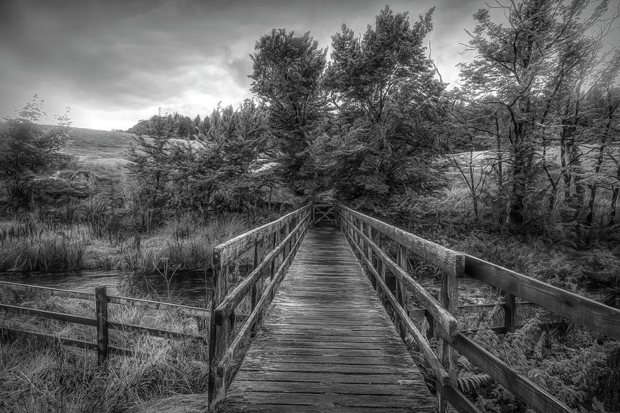 Autumn in Black and White Photograph by Debra and Dave Vanderlaan